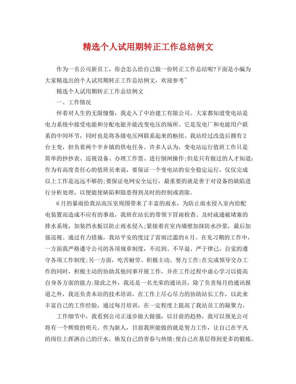 精选个人试用期转正工作总结例文 _第1页