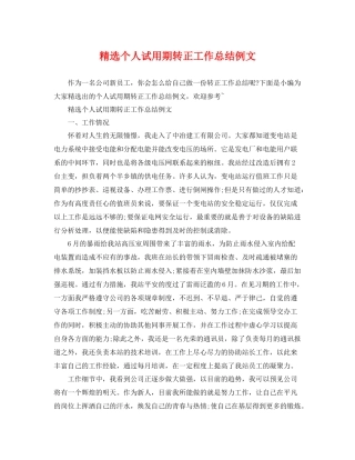 精选个人试用期转正工作总结例文 