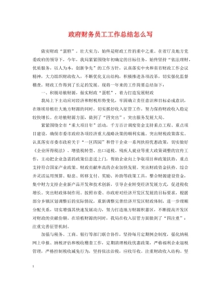 政府财务员工工作总结怎么写 