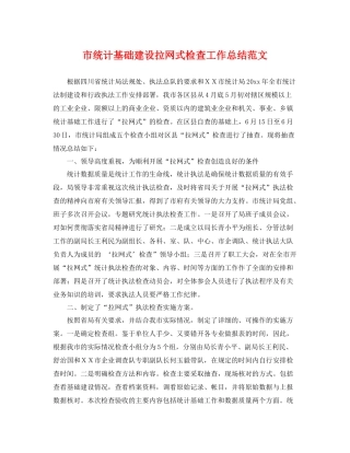 市统计基础建设拉网式检查工作总结范文 