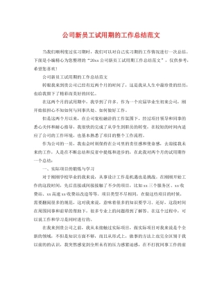 公司新员工试用期的工作总结范文 