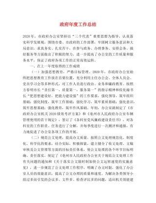 政府年度工作总结 