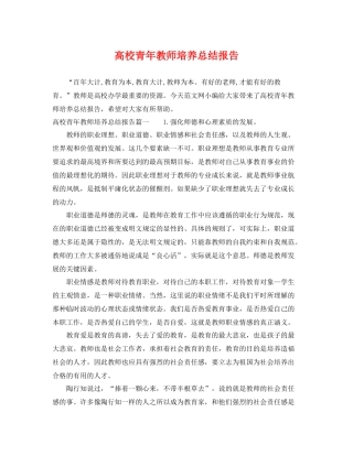高校青年教师培养总结报告 