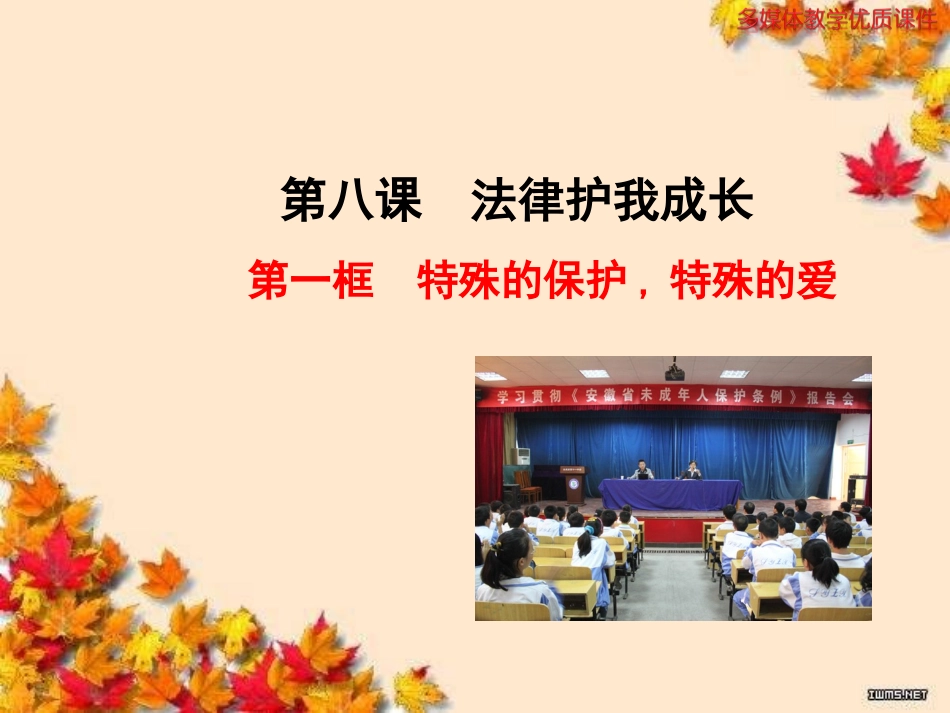 第一框特殊的保护，特殊的爱_第1页