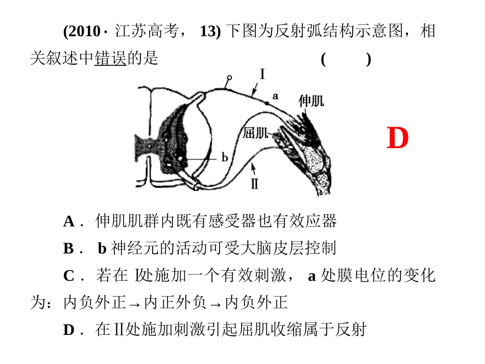 神经调节课件_第3页