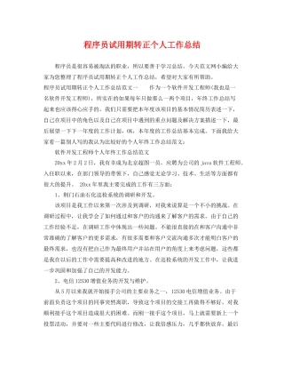 程序员试用期转正个人工作总结 