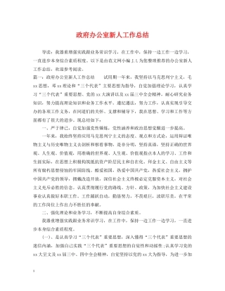 政府办公室新人工作总结 