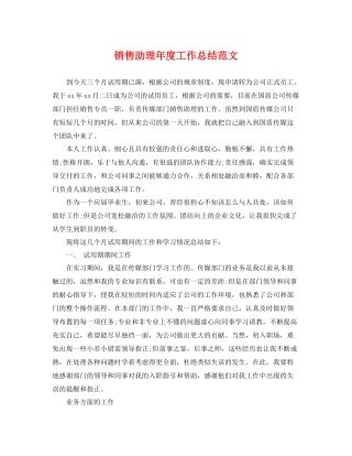 销售助理年度工作总结范文 