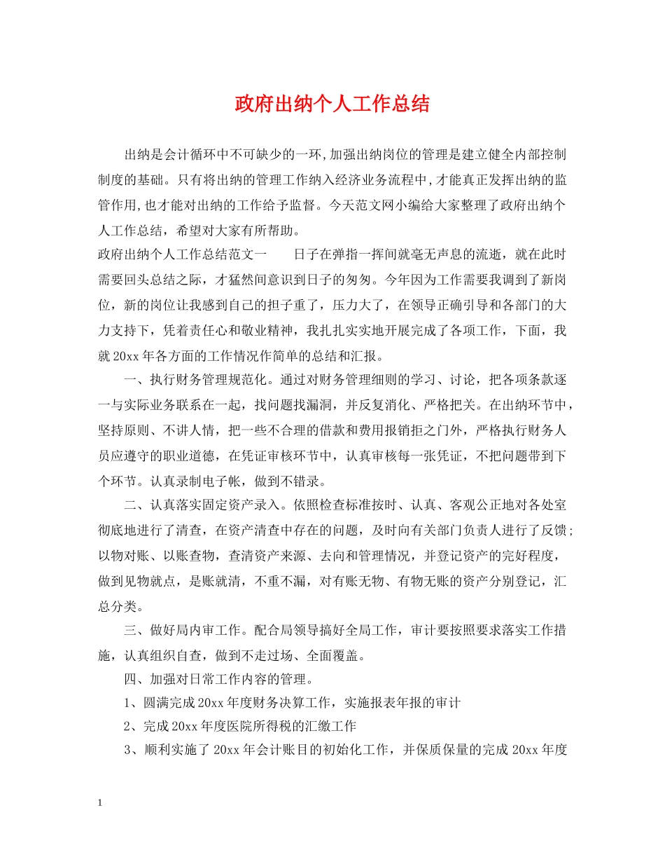政府出纳个人工作总结 _第1页