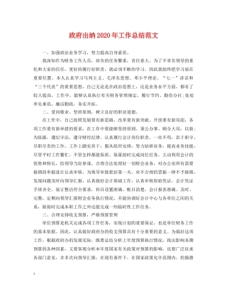 政府出纳2020年工作总结范文 