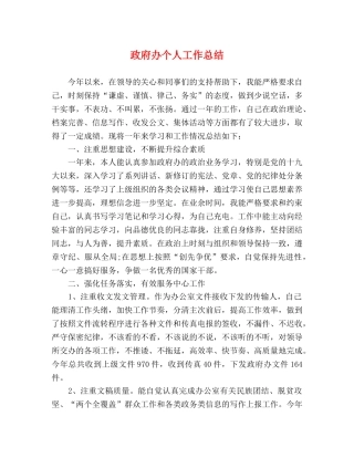 政府办个人工作总结 