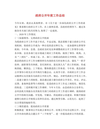 政府公开年度工作总结 