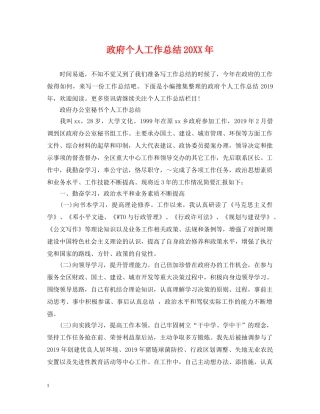 政府个人工作总结20XX年 