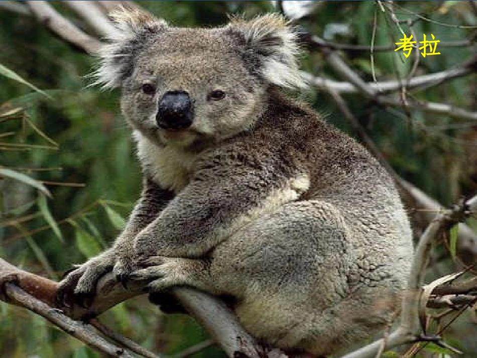 区域地理动漫素材库_第3页