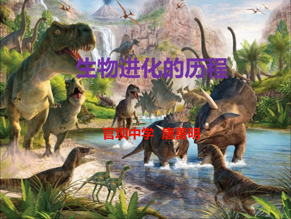 生物进化的历程_第1页