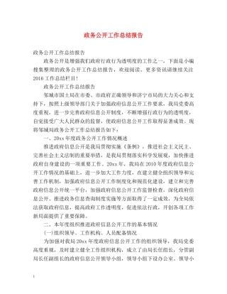 政务公开工作总结报告 