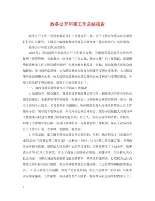 政务公开年度工作总结报告 