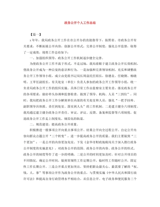 政务公开个人工作总结 