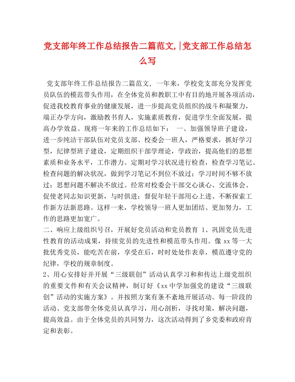 支部年终工作总结报告二篇范文,-党支部工作总结怎么写 _第1页