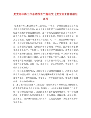 支部年终工作总结报告二篇范文,-党支部工作总结怎么写 