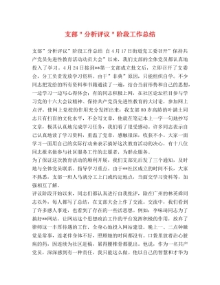 支部＂分析评议＂阶段工作总结 