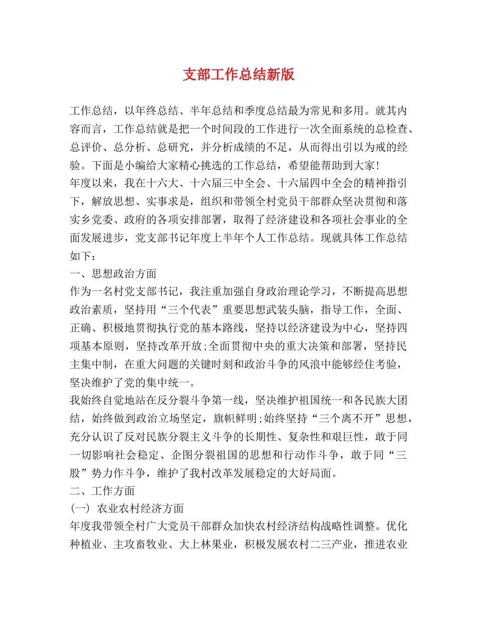 支部工作总结新版 _第1页