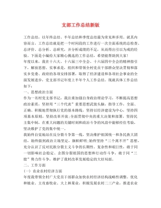 支部工作总结新版 