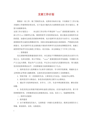 支部工作计划 