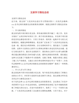 支部学习情况总结 