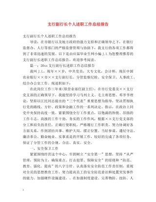 支行副行长个人述职工作总结报告 
