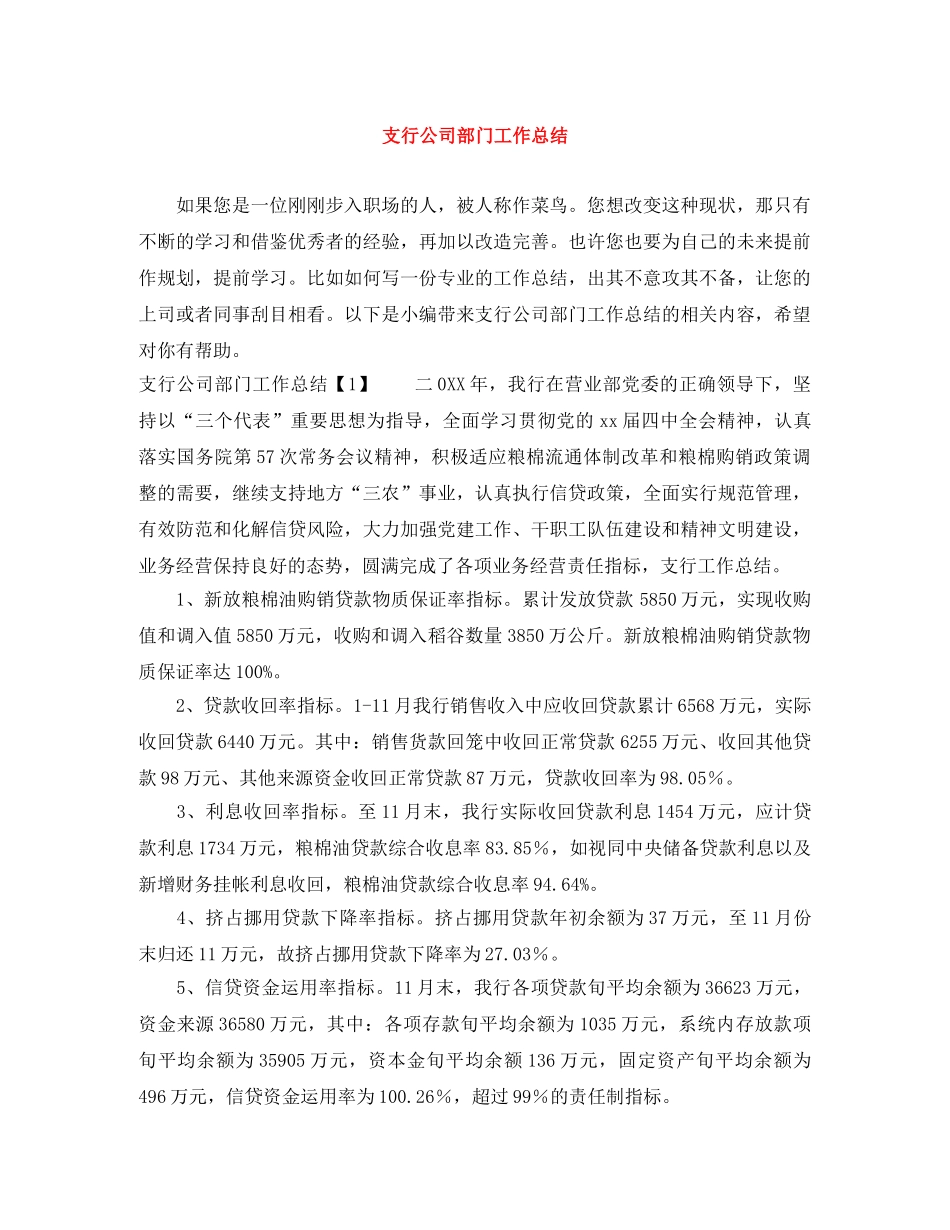 支行公司部门工作总结 _第1页