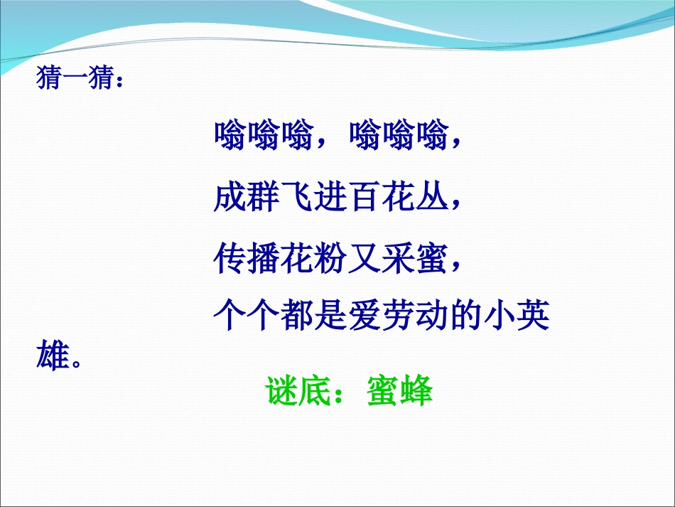 《蜜蜂引路》课件PPT_第1页