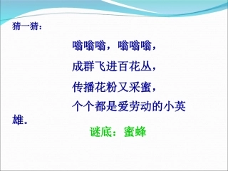 《蜜蜂引路》课件PPT