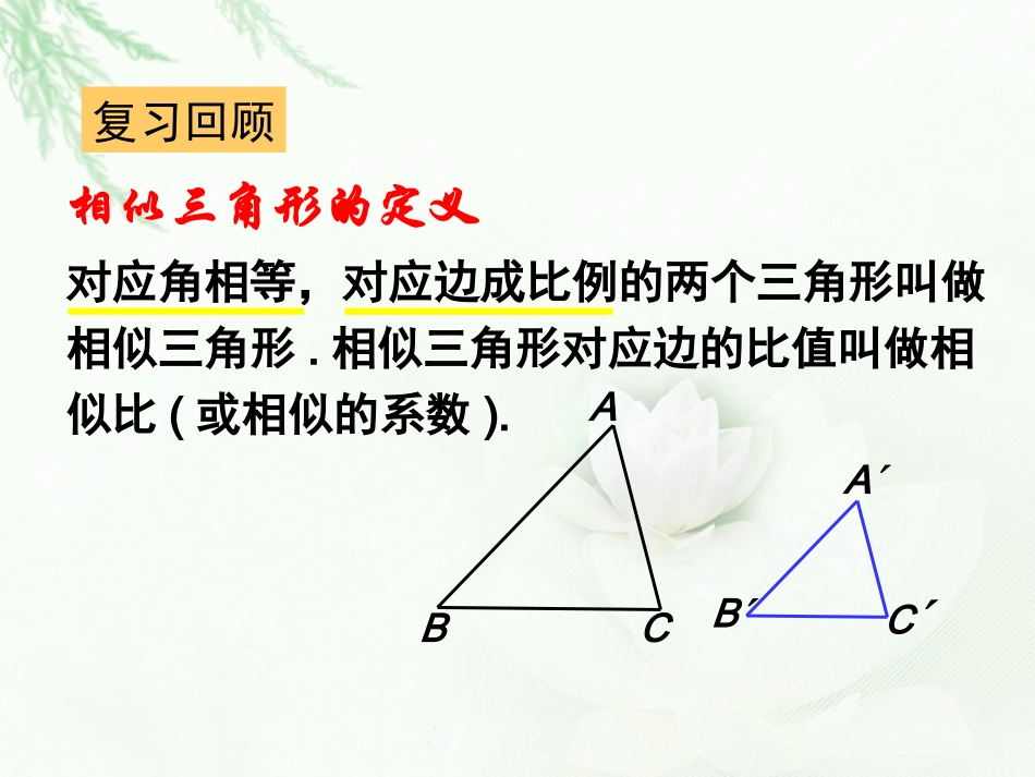 第一讲相似三角形的判断及有关性质_第2页