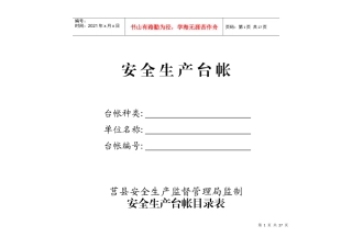 安全生产台帐(十三种二十四类)
