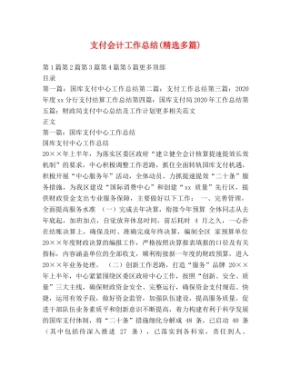 支付会计工作总结(精选多篇) 