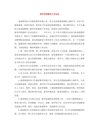 指导年轻教师工作总结 