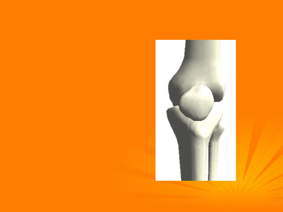 四年级科学下册_骨骼_2课件_苏教版_第3页