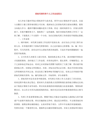 招标代理年终个人工作总结范文 