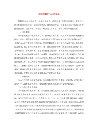 招标代理的个人工作总结 