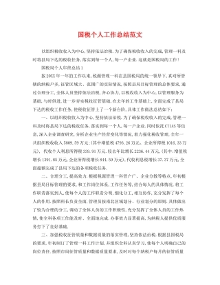 国税个人工作总结范文 
