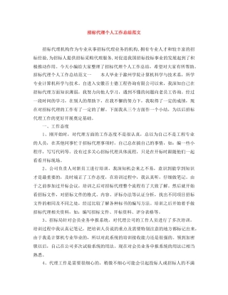 招标代理个人工作总结范文 