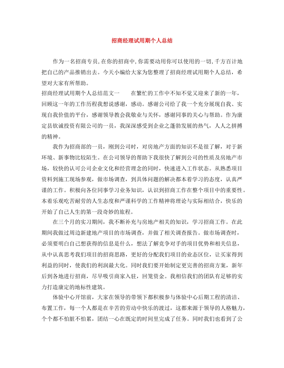 招商经理试用期个人总结 _第1页