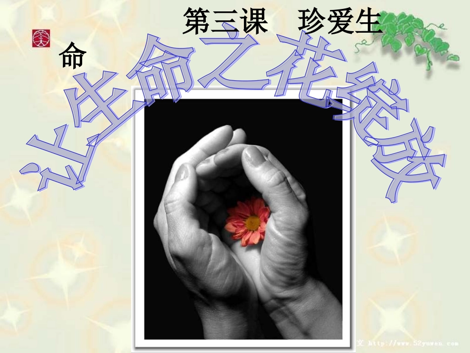 让生命之花绽放PPT_第1页