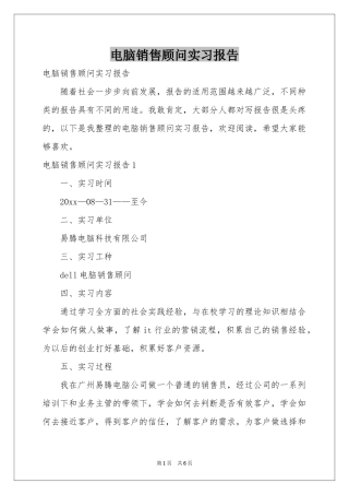 电脑销售顾问实习报告