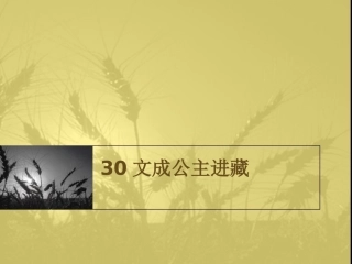 《文成公主进藏》课件 (2)
