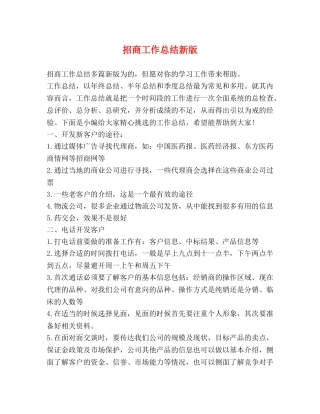 招商工作总结新版 