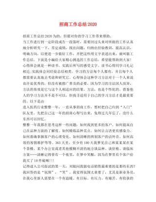 招商工作总结2020 