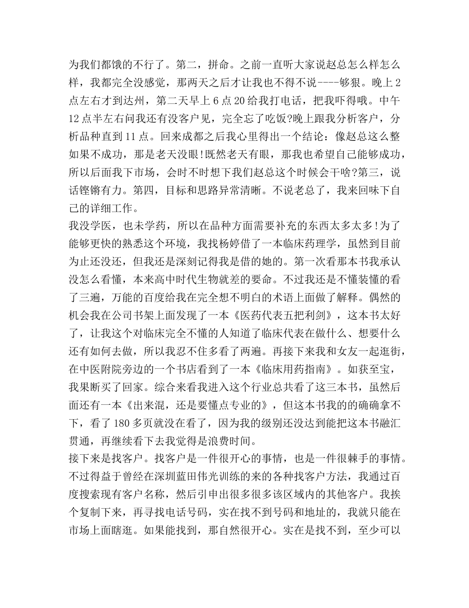 招商工作总结 _第3页