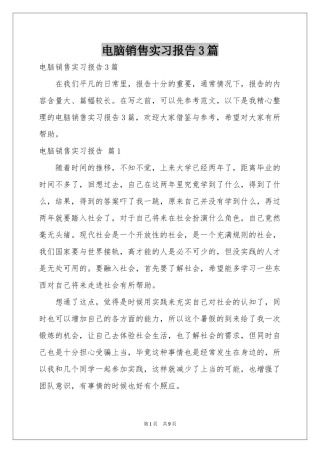 电脑销售实习报告3篇